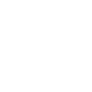 LREI